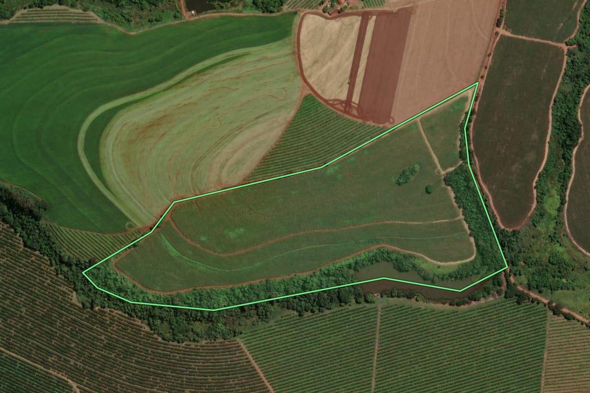 Imagem de satélite do imóvel rural em Casa Branca (SP), com o contorno declarado no CAR desenhado por cima.