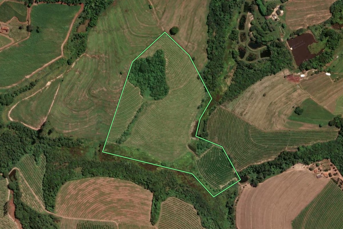 Imagem de satélite do imóvel rural em Casa Branca (SP), com o contorno declarado no CAR desenhado por cima.