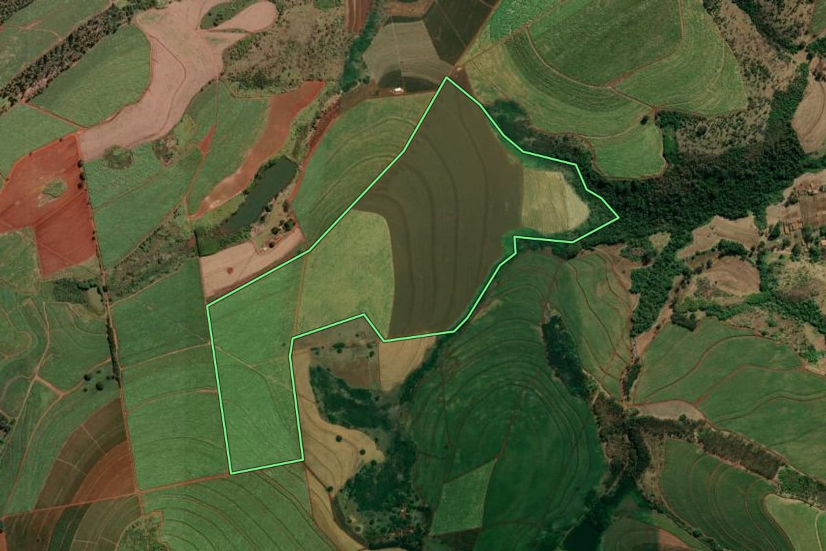 Imagem de satélite do imóvel rural em Casa Branca (SP), com o contorno declarado no CAR desenhado por cima.