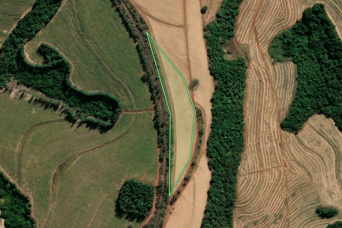 Imagem de satélite do imóvel rural em Casa Branca (SP), com o contorno declarado no CAR desenhado por cima.