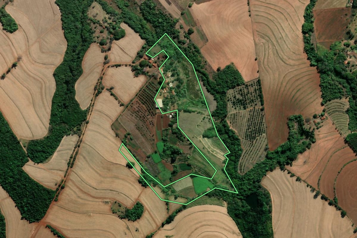 Imagem de satélite do imóvel rural em Casa Branca (SP), com o contorno declarado no CAR desenhado por cima.