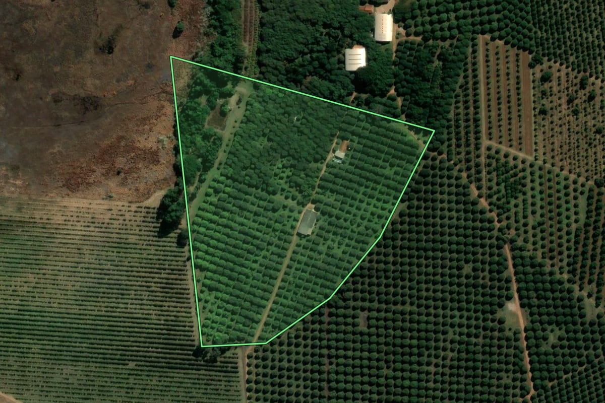 Imagem de satélite do imóvel rural em Casa Branca (SP), com o contorno declarado no CAR desenhado por cima.