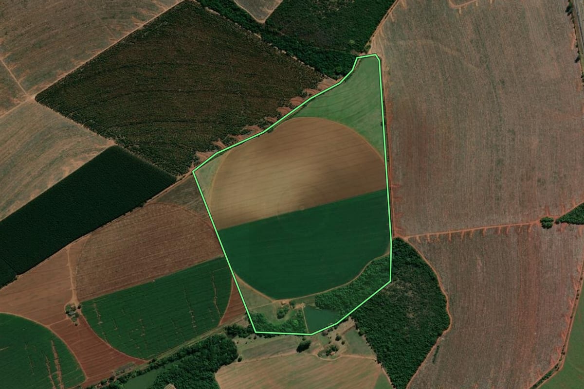 Imagem de satélite do imóvel rural em Casa Branca (SP), com o contorno declarado no CAR desenhado por cima.