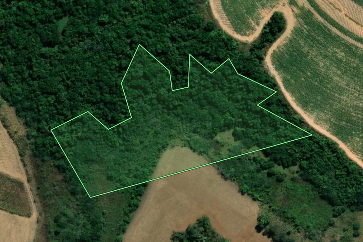 Imagem de satélite do imóvel rural em Casa Branca (SP), com o contorno declarado no CAR desenhado por cima.
