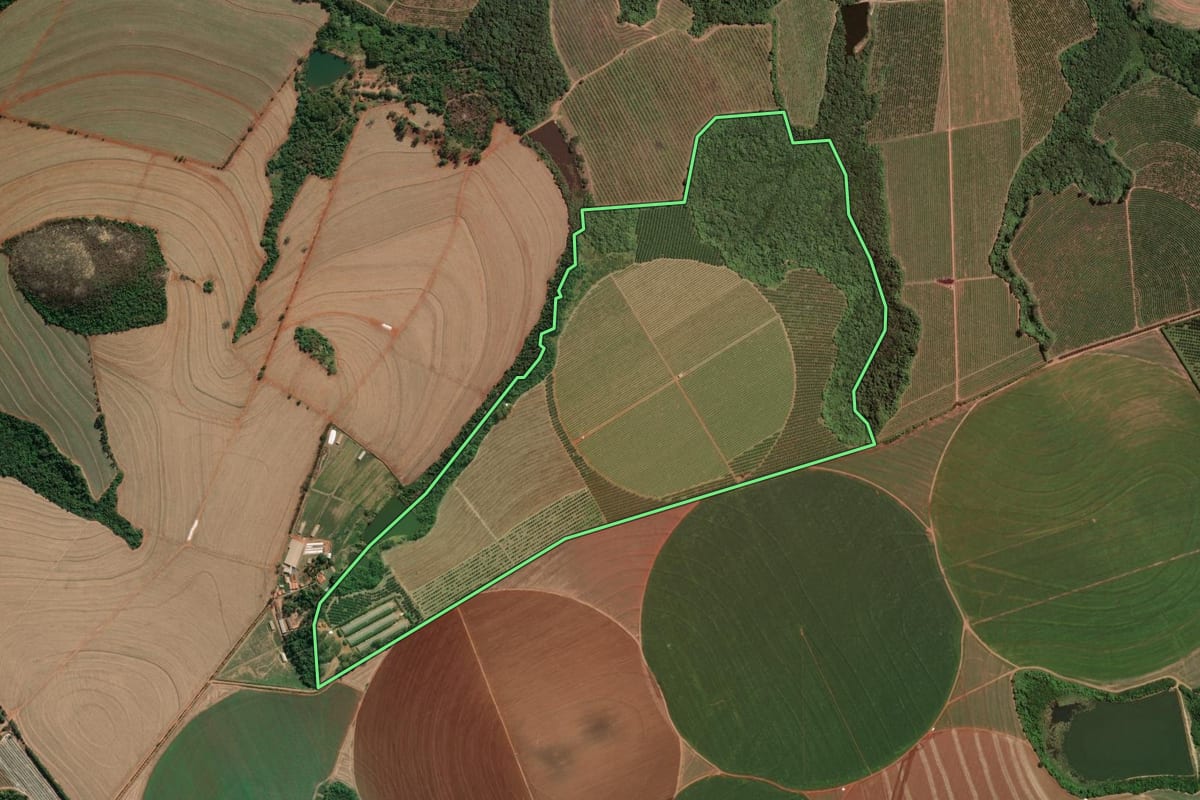 Imagem de satélite do imóvel rural em Casa Branca (SP), com o contorno declarado no CAR desenhado por cima.