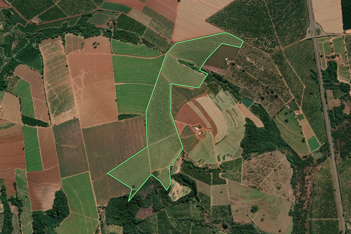 Imagem de satélite do imóvel rural em Casa Branca (SP), com o contorno declarado no CAR desenhado por cima.