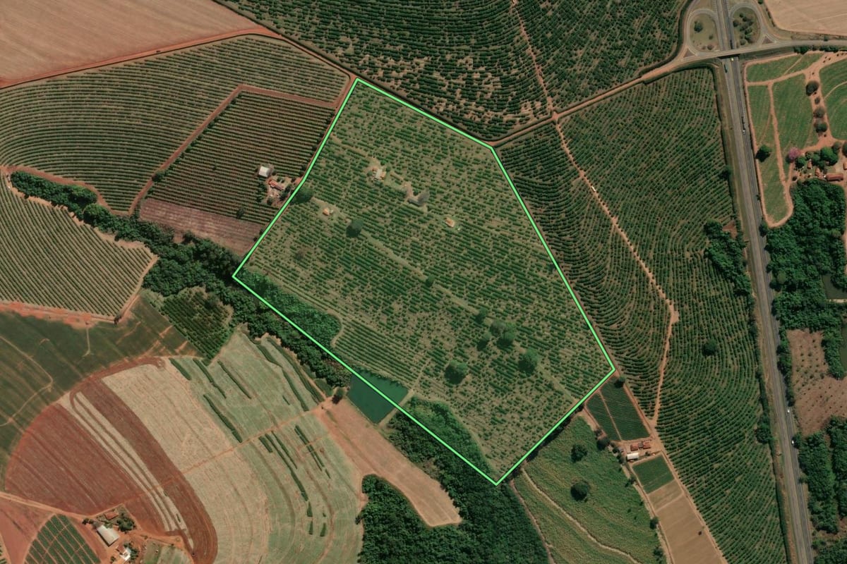 Imagem de satélite do imóvel rural em Casa Branca (SP), com o contorno declarado no CAR desenhado por cima.