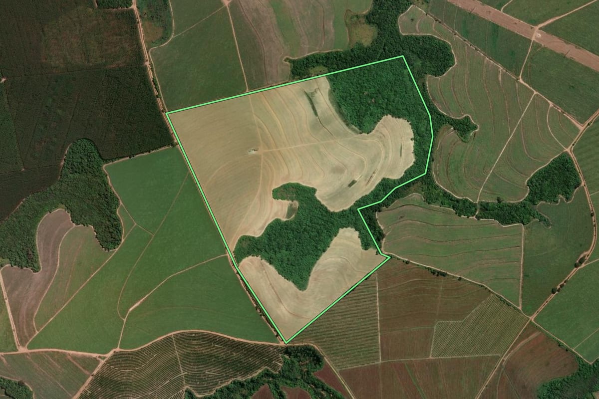 Imagem de satélite do imóvel rural em Casa Branca (SP), com o contorno declarado no CAR desenhado por cima.