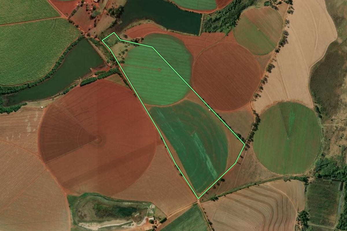 Imagem de satélite do imóvel rural em Casa Branca (SP), com o contorno declarado no CAR desenhado por cima.