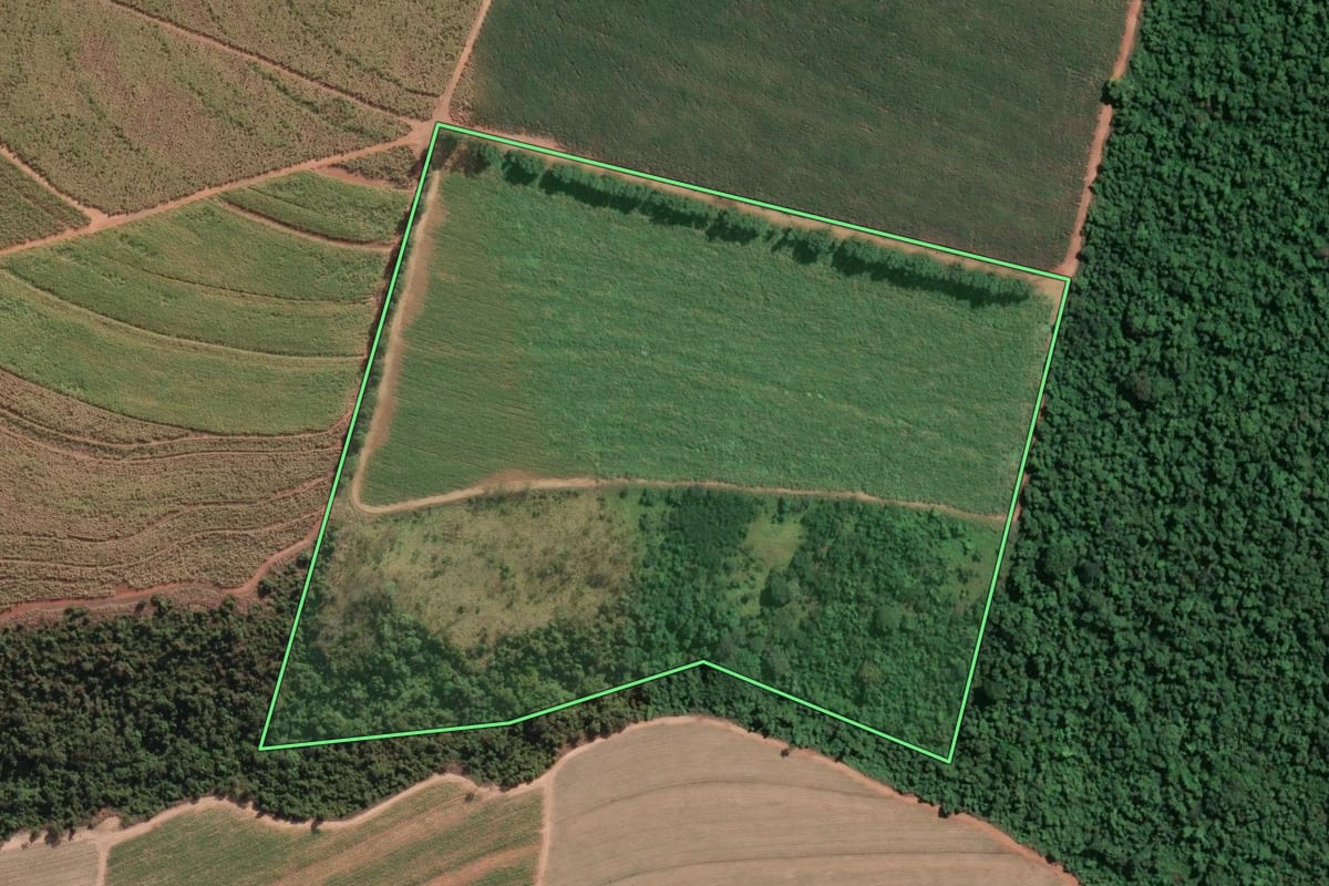 Imagem de satélite do imóvel rural em Casa Branca (SP), com o contorno declarado no CAR desenhado por cima.