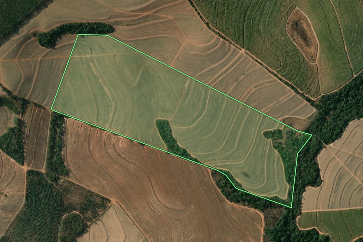 Imagem de satélite do imóvel rural em Casa Branca (SP), com o contorno declarado no CAR desenhado por cima.