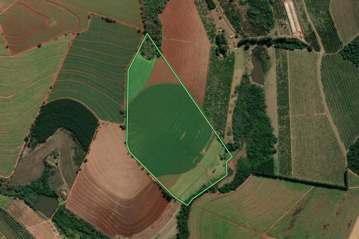 Imagem de satélite do imóvel rural em Casa Branca (SP), com o contorno declarado no CAR desenhado por cima.