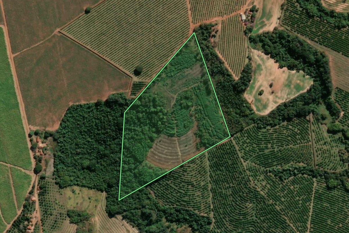 Imagem de satélite do imóvel rural em Casa Branca (SP), com o contorno declarado no CAR desenhado por cima.