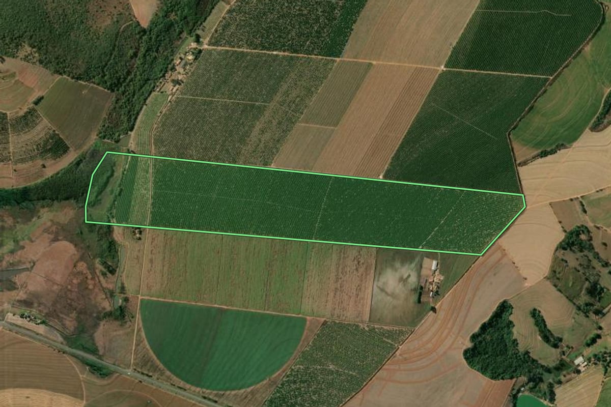 Imagem de satélite do imóvel rural em Casa Branca (SP), com o contorno declarado no CAR desenhado por cima.