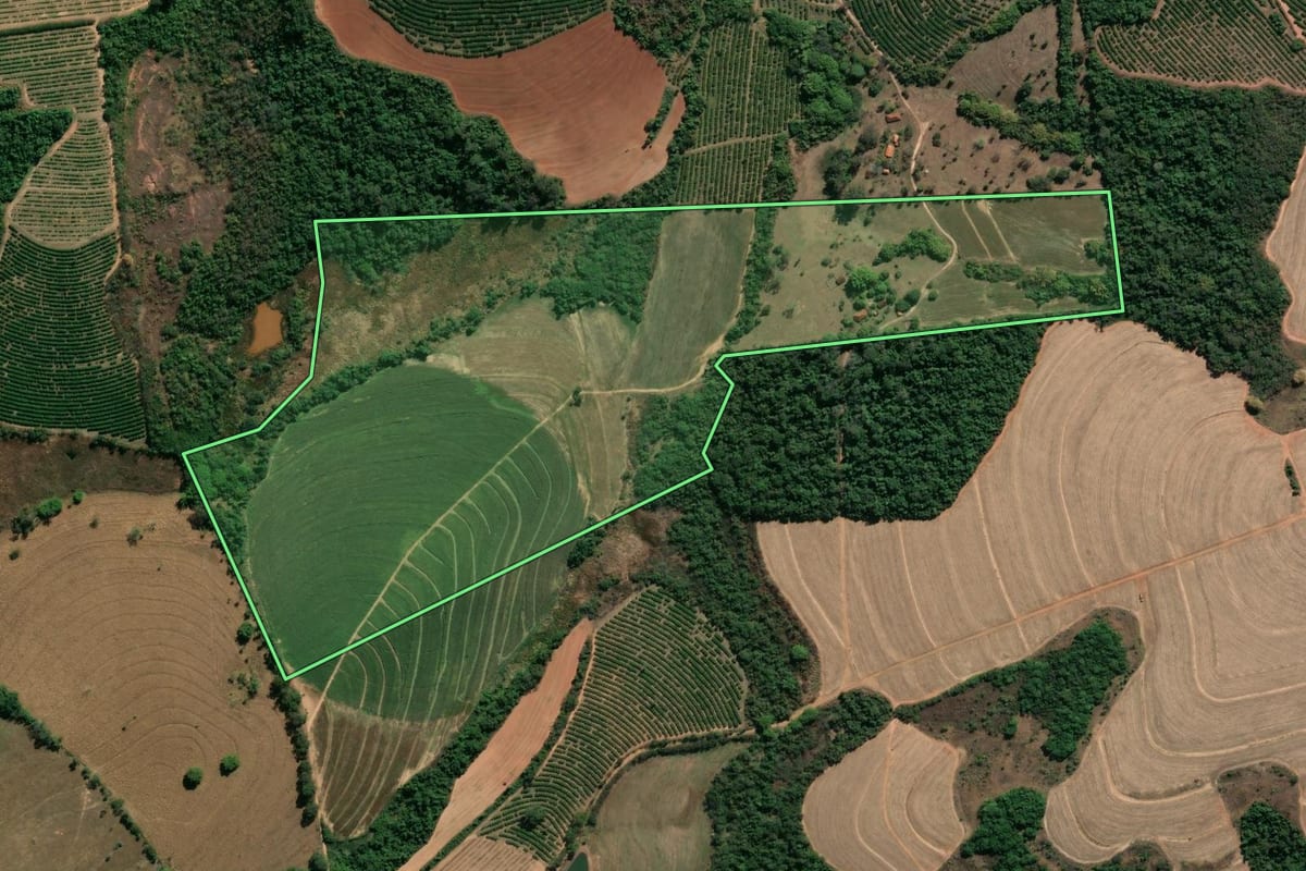 Imagem de satélite do imóvel rural em Casa Branca (SP), com o contorno declarado no CAR desenhado por cima.