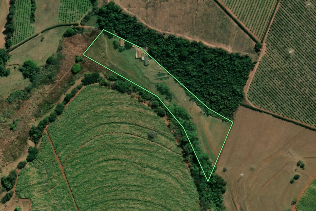 Imagem de satélite do imóvel rural em Casa Branca (SP), com o contorno declarado no CAR desenhado por cima.