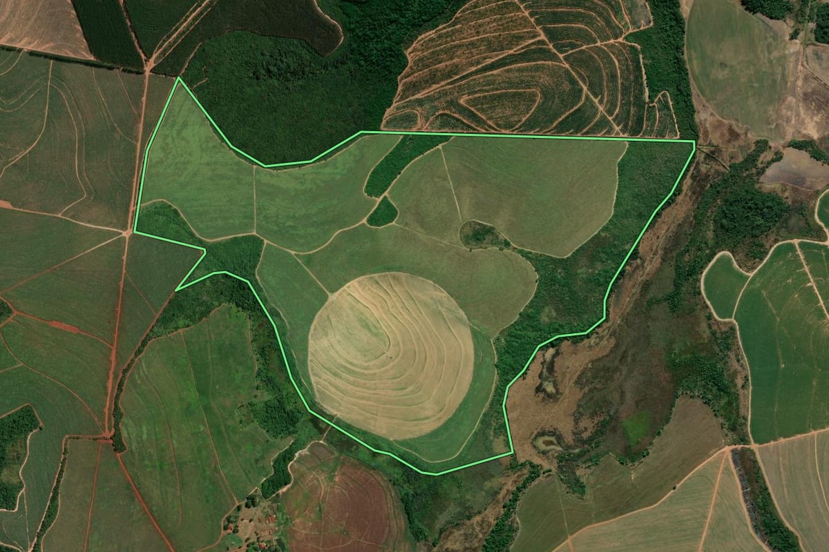 Imagem de satélite do imóvel rural em Casa Branca (SP), com o contorno declarado no CAR desenhado por cima.