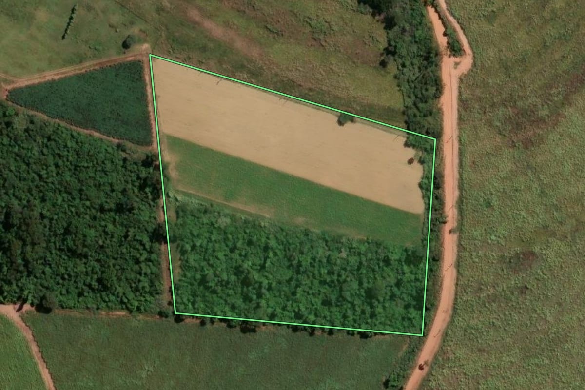 Imagem de satélite do imóvel rural em Casa Branca (SP), com o contorno declarado no CAR desenhado por cima.