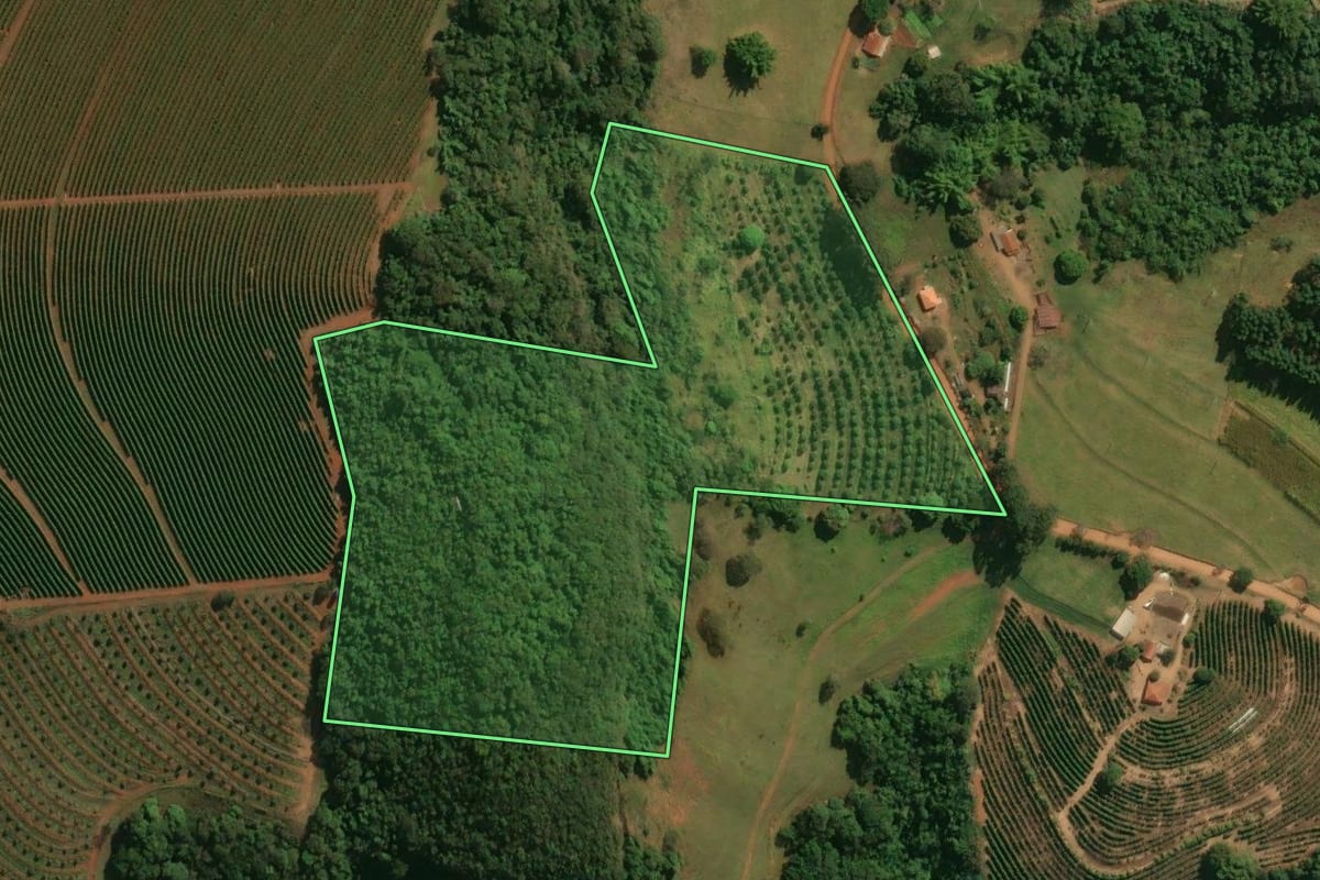 Imagem de satélite do imóvel rural em Cássia dos Coqueiros (SP), com o contorno declarado no CAR desenhado por cima.