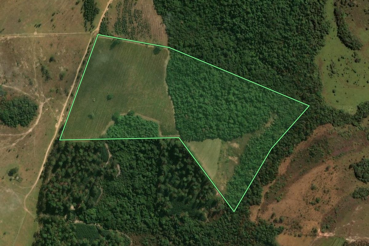 Imagem de satélite do imóvel rural em Cássia dos Coqueiros (SP), com o contorno declarado no CAR desenhado por cima.