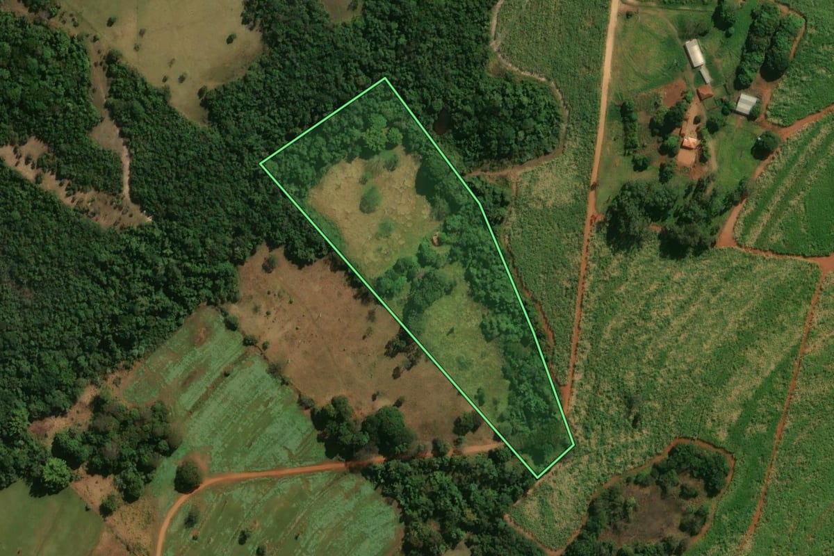 Imagem de satélite do imóvel rural em Cássia dos Coqueiros (SP), com o contorno declarado no CAR desenhado por cima.