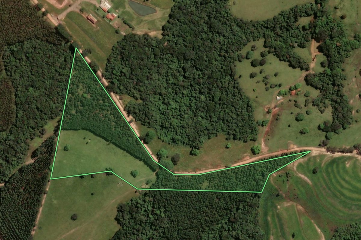 Imagem de satélite do imóvel rural em Cássia dos Coqueiros (SP), com o contorno declarado no CAR desenhado por cima.