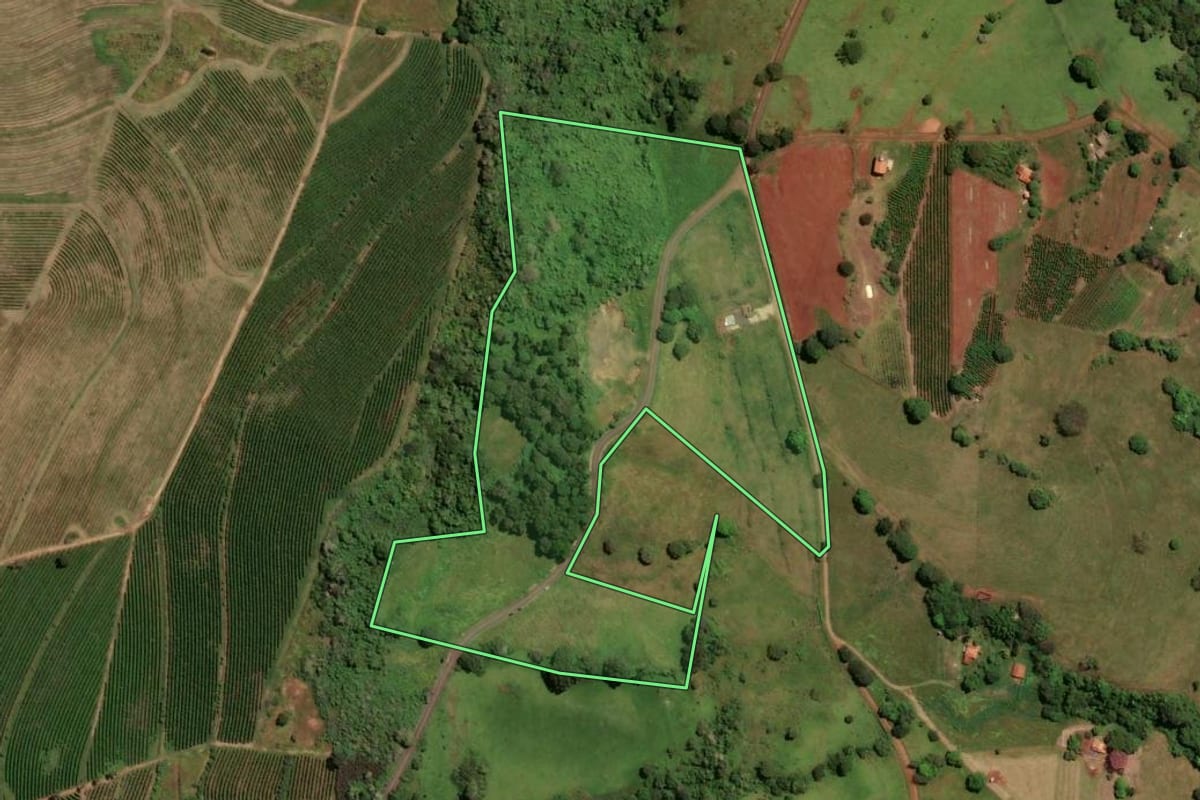 Imagem de satélite do imóvel rural em Cássia dos Coqueiros (SP), com o contorno declarado no CAR desenhado por cima.
