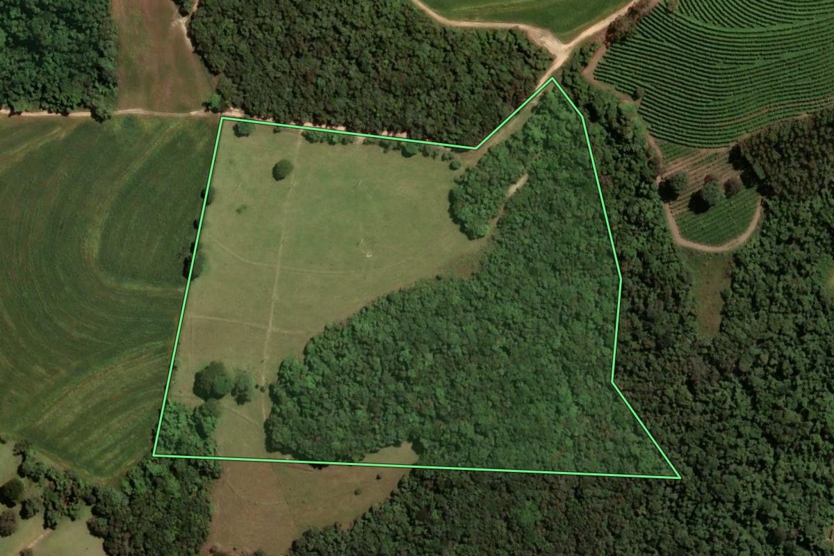Imagem de satélite do imóvel rural em Cássia dos Coqueiros (SP), com o contorno declarado no CAR desenhado por cima.