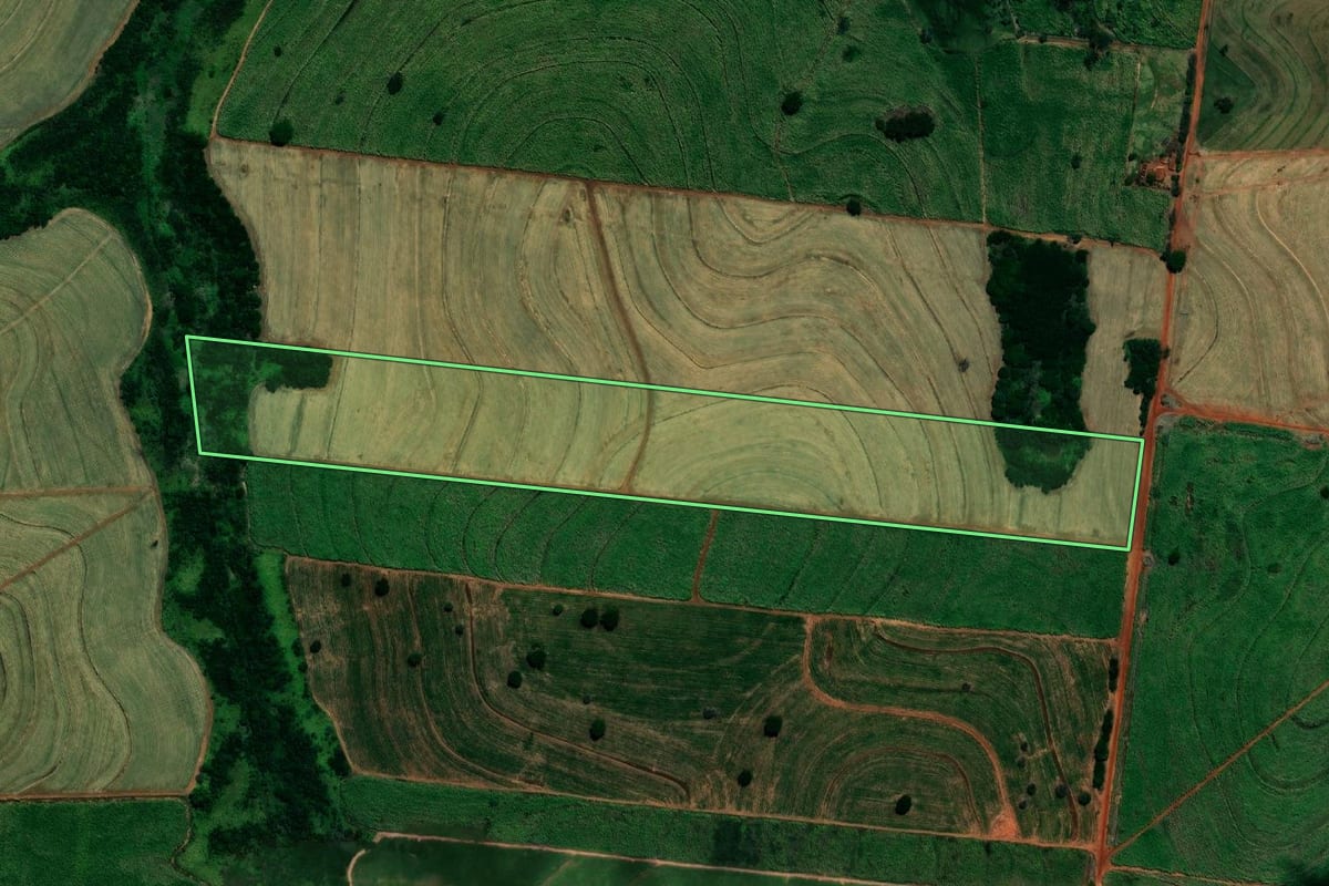 Imagem de satélite do imóvel rural em Castilho (SP), com o contorno declarado no CAR desenhado por cima.