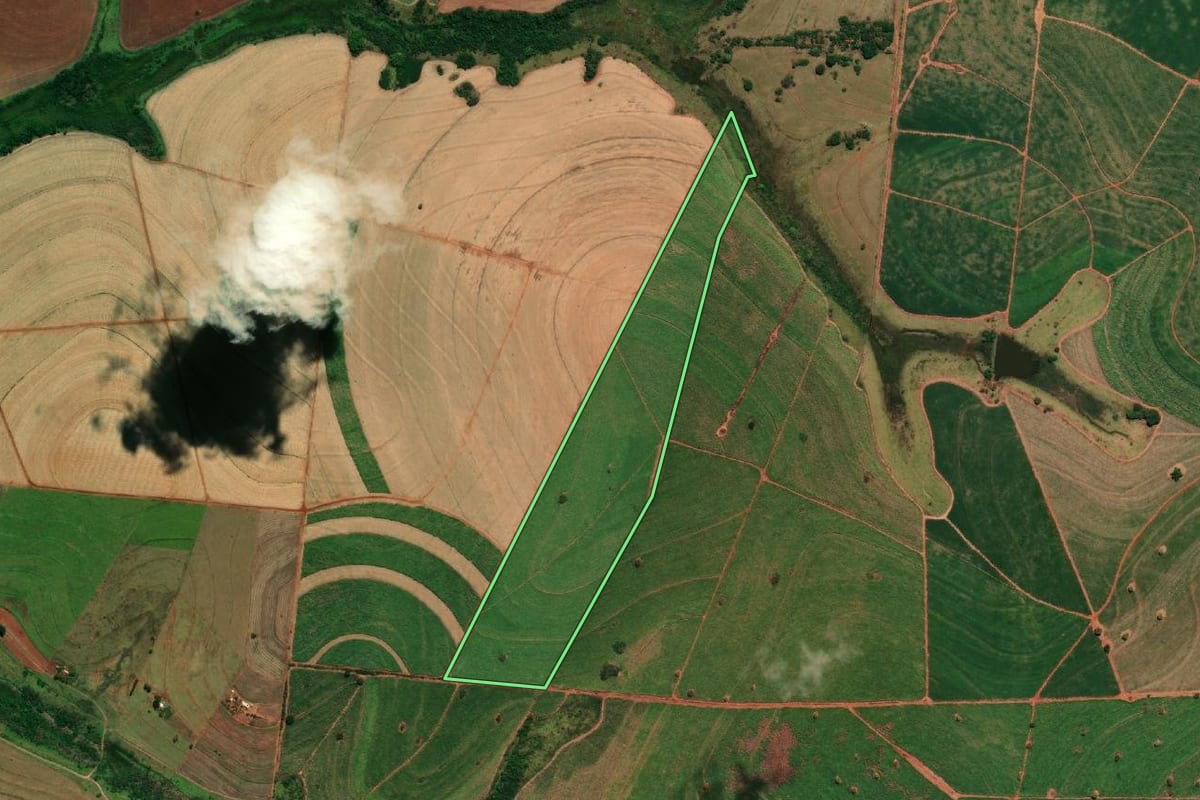 Imagem de satélite do imóvel rural em Castilho (SP), com o contorno declarado no CAR desenhado por cima.