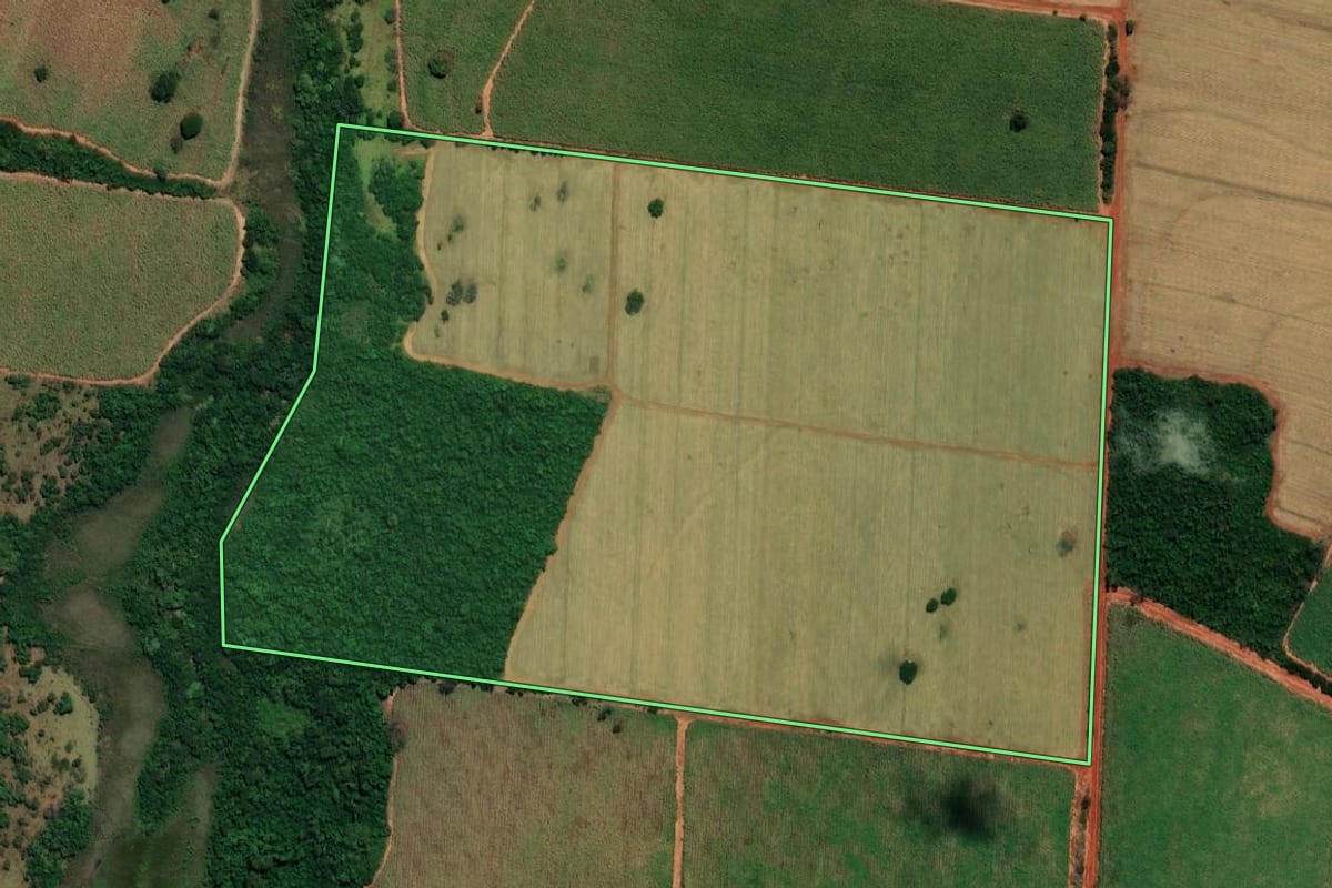 Imagem de satélite do imóvel rural em Castilho (SP), com o contorno declarado no CAR desenhado por cima.