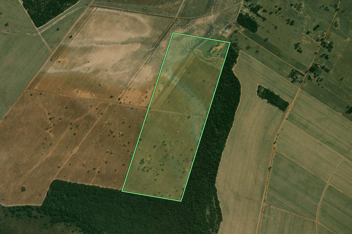 Imagem de satélite do imóvel rural em Castilho (SP), com o contorno declarado no CAR desenhado por cima.