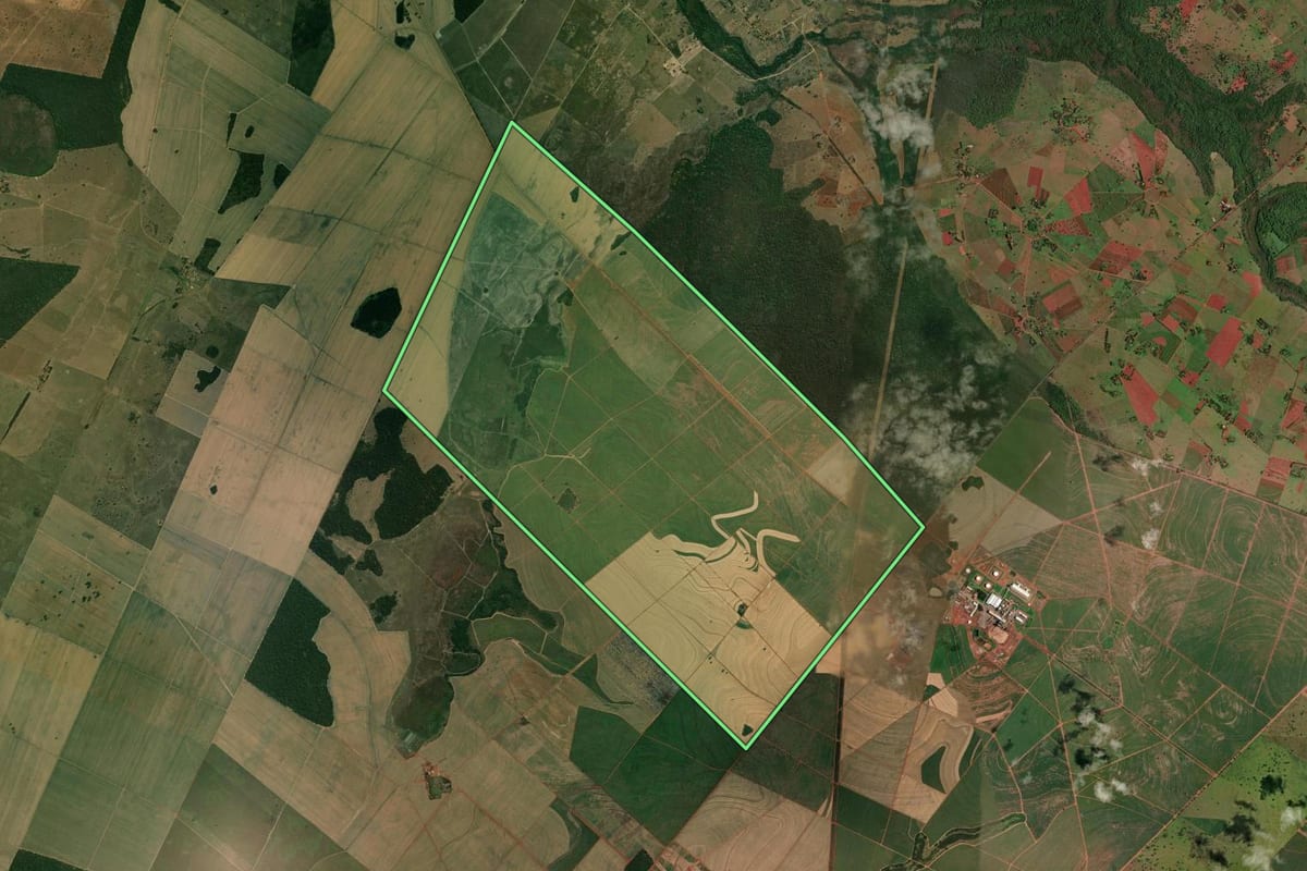 Imagem de satélite do imóvel rural em Castilho (SP), com o contorno declarado no CAR desenhado por cima.