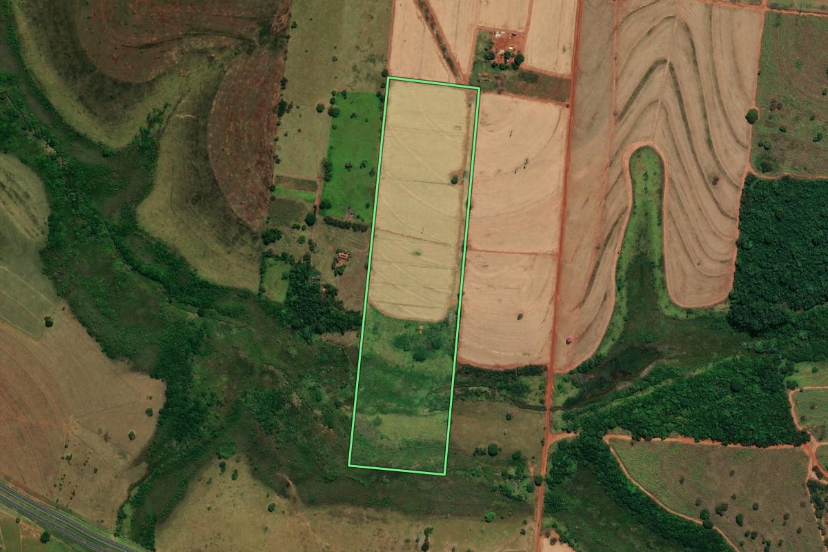 Imagem de satélite do imóvel rural em Castilho (SP), com o contorno declarado no CAR desenhado por cima.