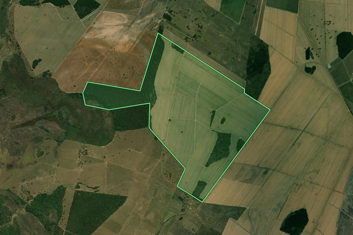 Imagem de satélite do imóvel rural em Castilho (SP), com o contorno declarado no CAR desenhado por cima.