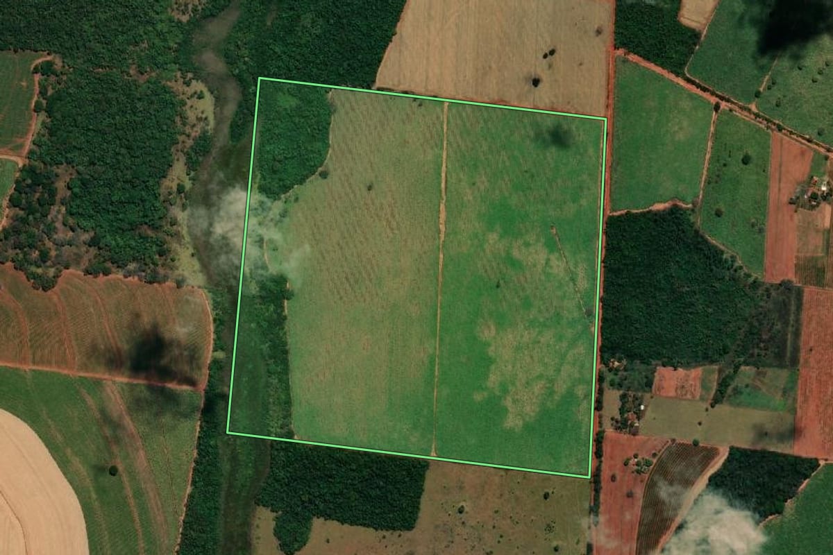 Imagem de satélite do imóvel rural em Castilho (SP), com o contorno declarado no CAR desenhado por cima.