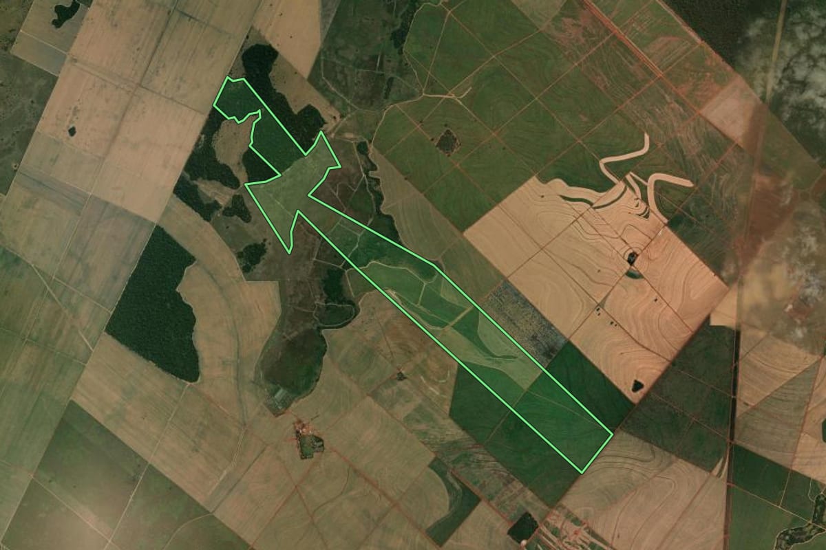 Imagem de satélite do imóvel rural em Castilho (SP), com o contorno declarado no CAR desenhado por cima.