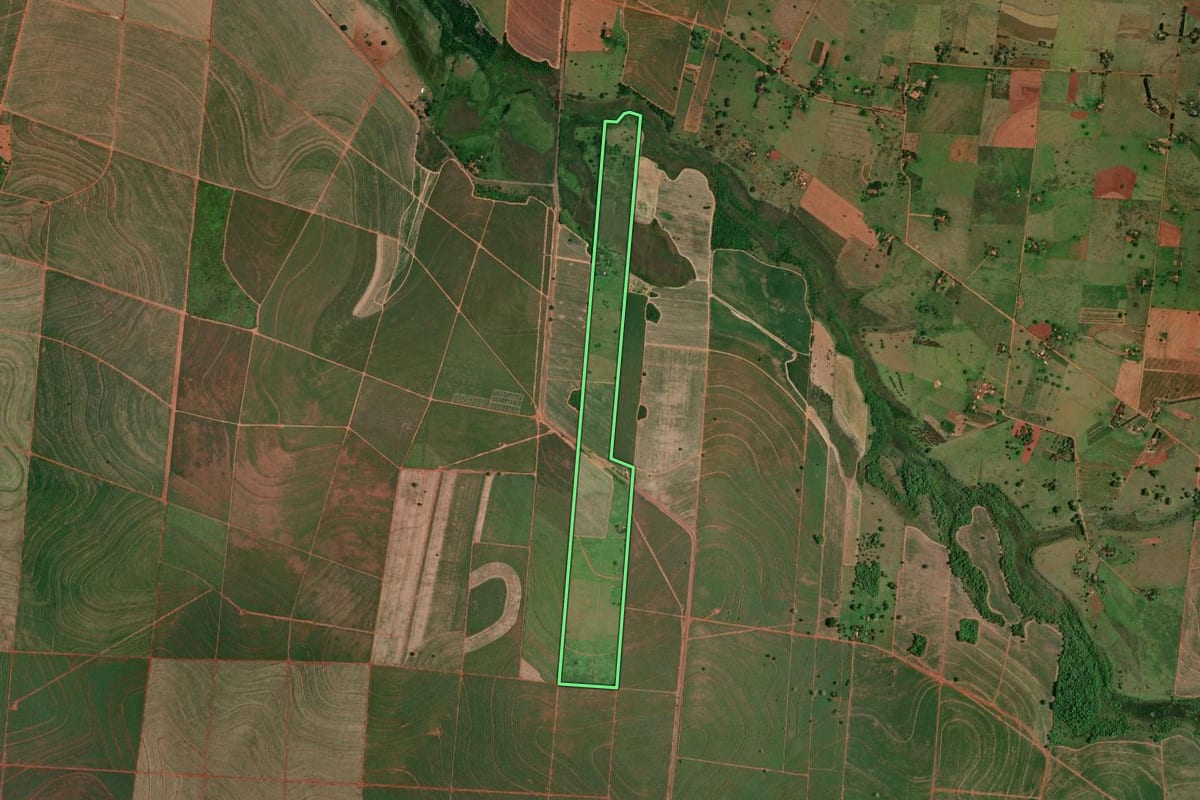 Imagem de satélite do imóvel rural em Castilho (SP), com o contorno declarado no CAR desenhado por cima.