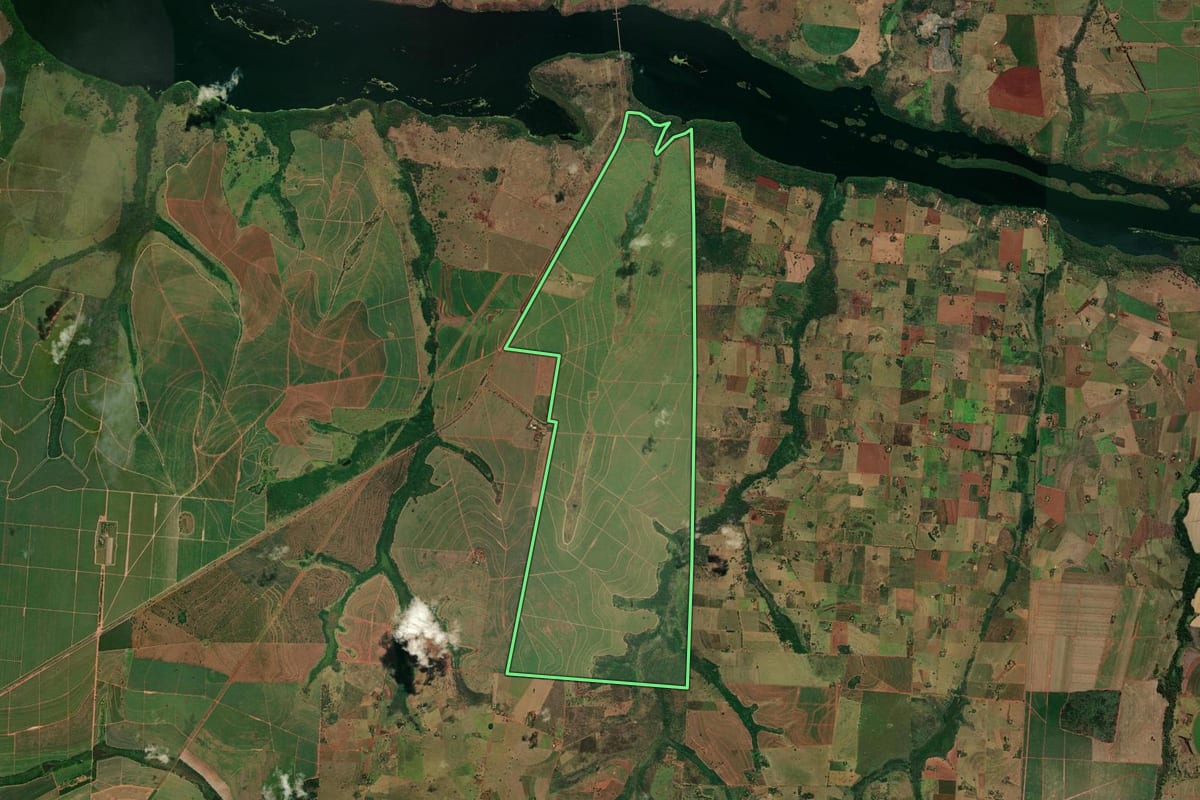 Imagem de satélite do imóvel rural em Castilho (SP), com o contorno declarado no CAR desenhado por cima.
