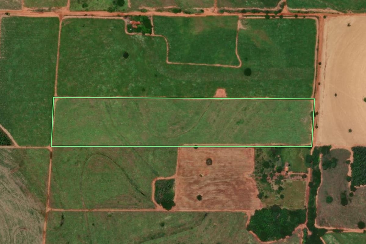 Imagem de satélite do imóvel rural em Castilho (SP), com o contorno declarado no CAR desenhado por cima.
