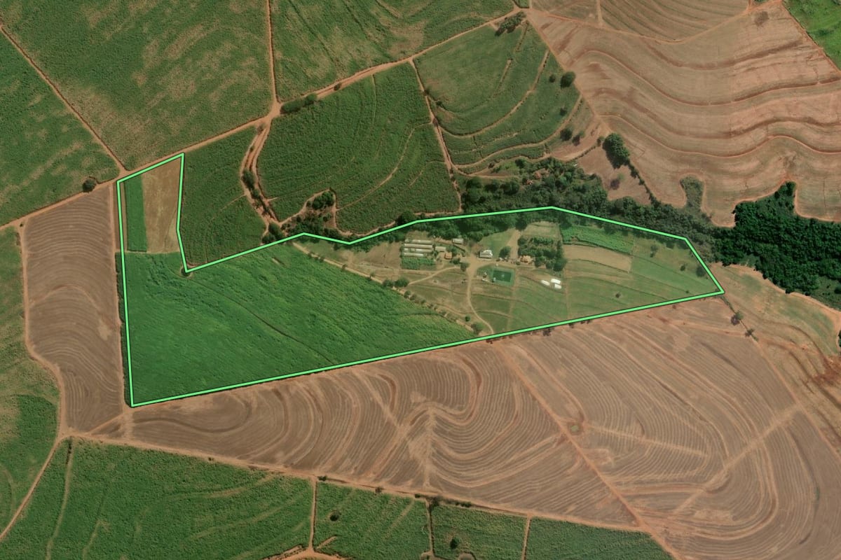 Imagem de satélite do imóvel rural em Catanduva (SP), com o contorno declarado no CAR desenhado por cima.