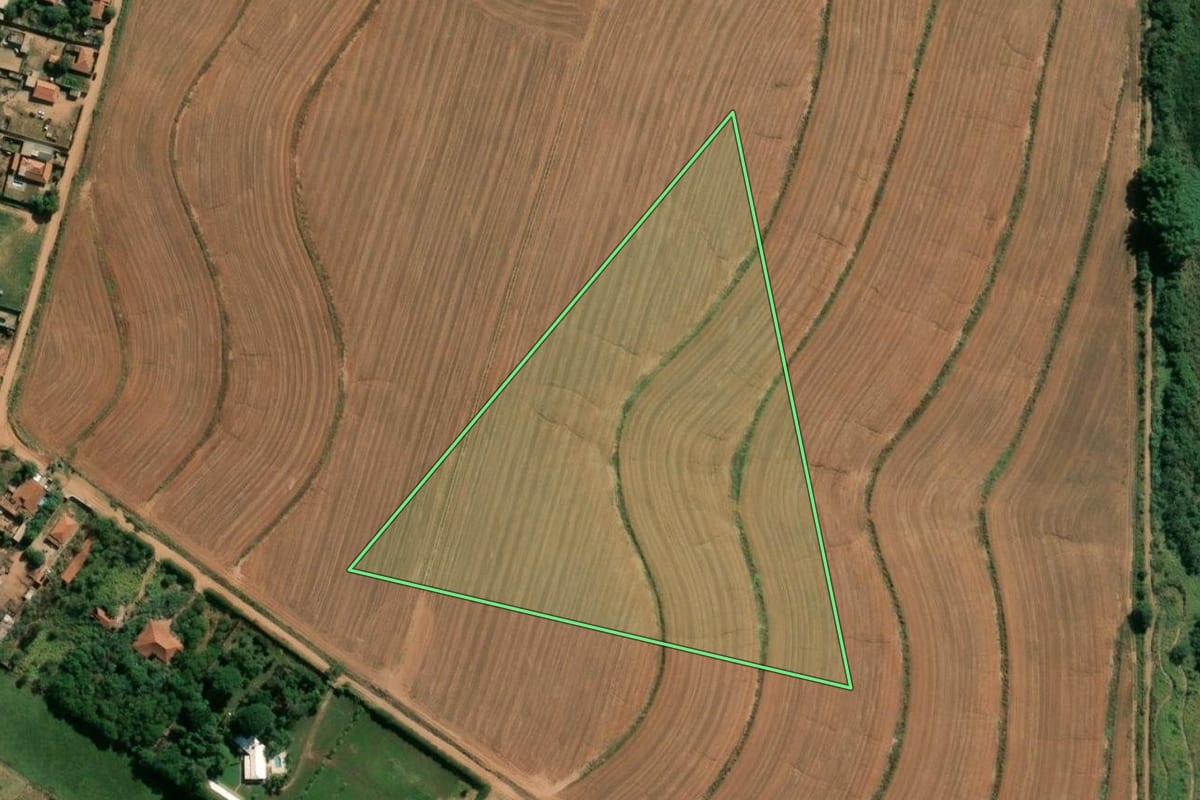 Imagem de satélite do imóvel rural em Catanduva (SP), com o contorno declarado no CAR desenhado por cima.