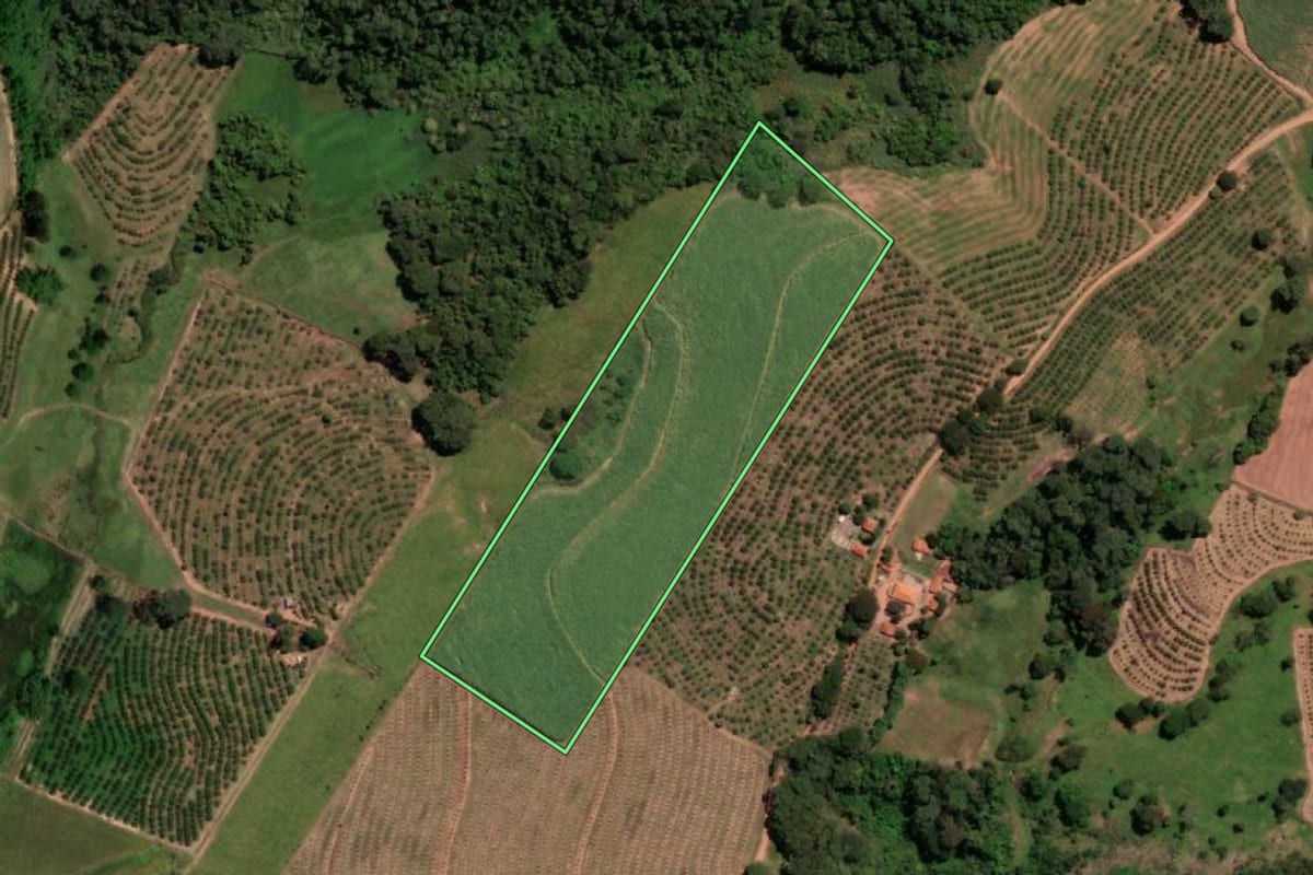 Imagem de satélite do imóvel rural em Catanduva (SP), com o contorno declarado no CAR desenhado por cima.