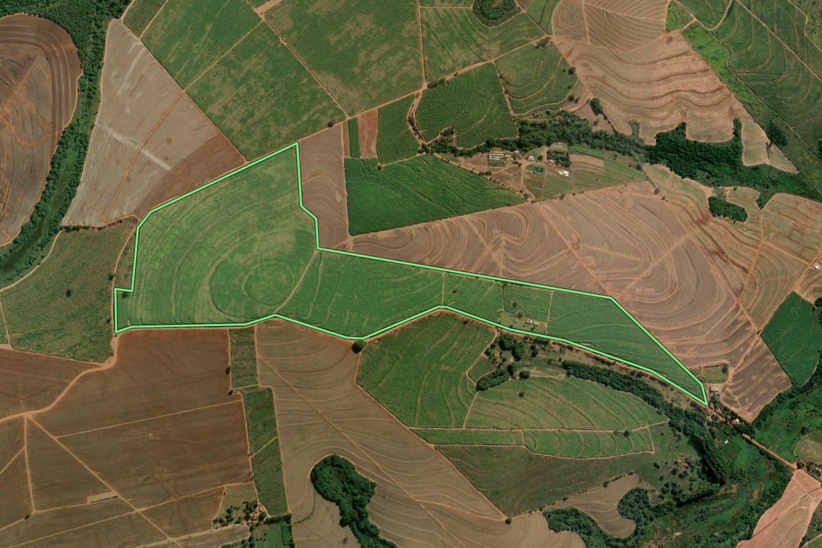 Imagem de satélite do imóvel rural em Catanduva (SP), com o contorno declarado no CAR desenhado por cima.