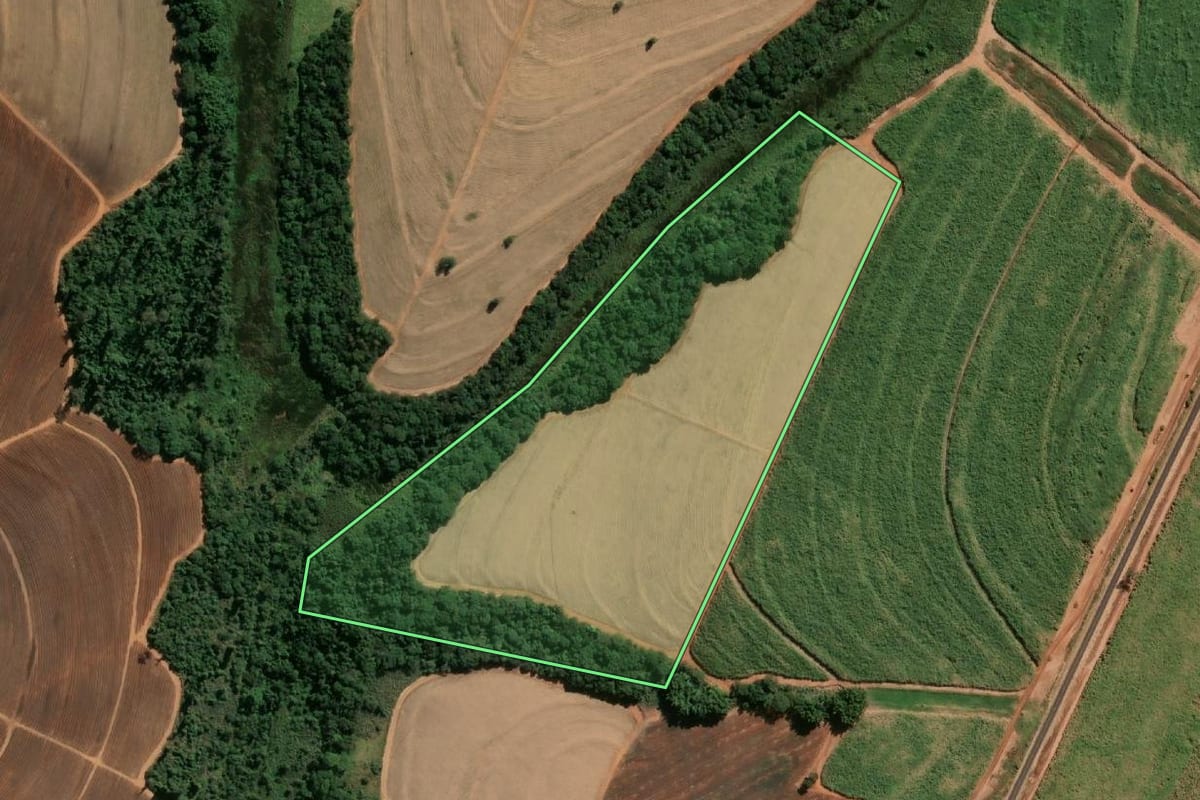 Imagem de satélite do imóvel rural em Catanduva (SP), com o contorno declarado no CAR desenhado por cima.
