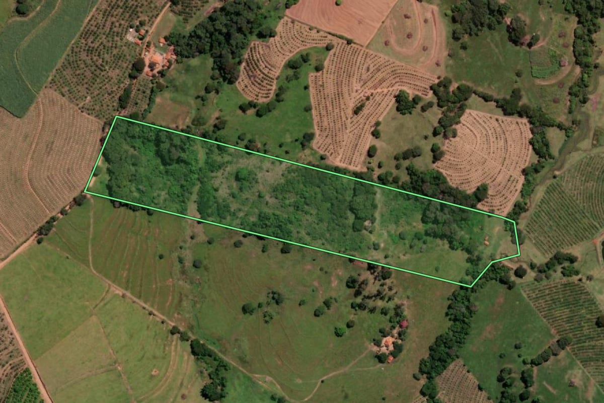 Imagem de satélite do imóvel rural em Catanduva (SP), com o contorno declarado no CAR desenhado por cima.