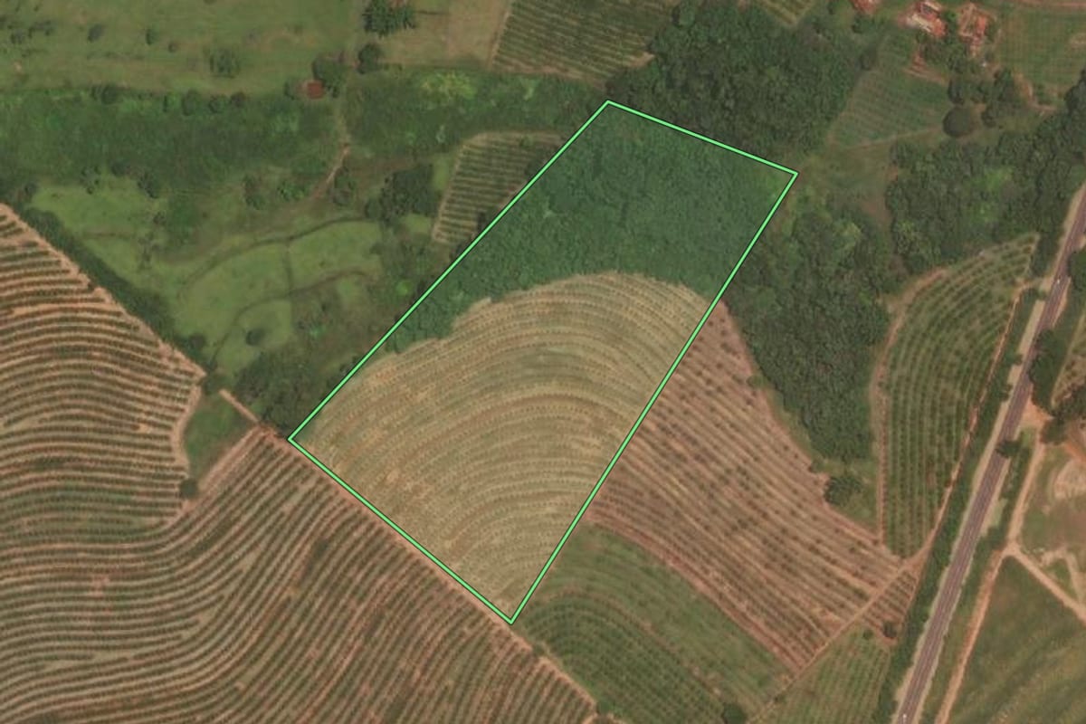 Imagem de satélite do imóvel rural em Catanduva (SP), com o contorno declarado no CAR desenhado por cima.