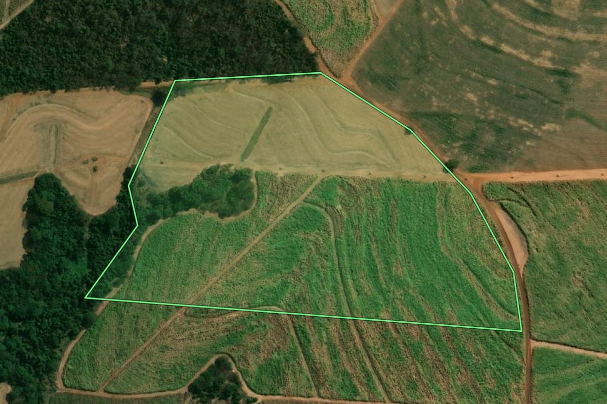 Imagem de satélite do imóvel rural em Catiguá (SP), com o contorno declarado no CAR desenhado por cima.