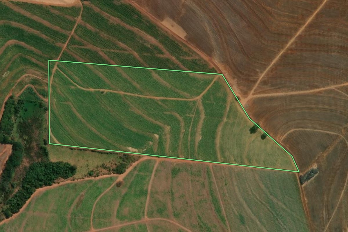 Imagem de satélite do imóvel rural em Catiguá (SP), com o contorno declarado no CAR desenhado por cima.
