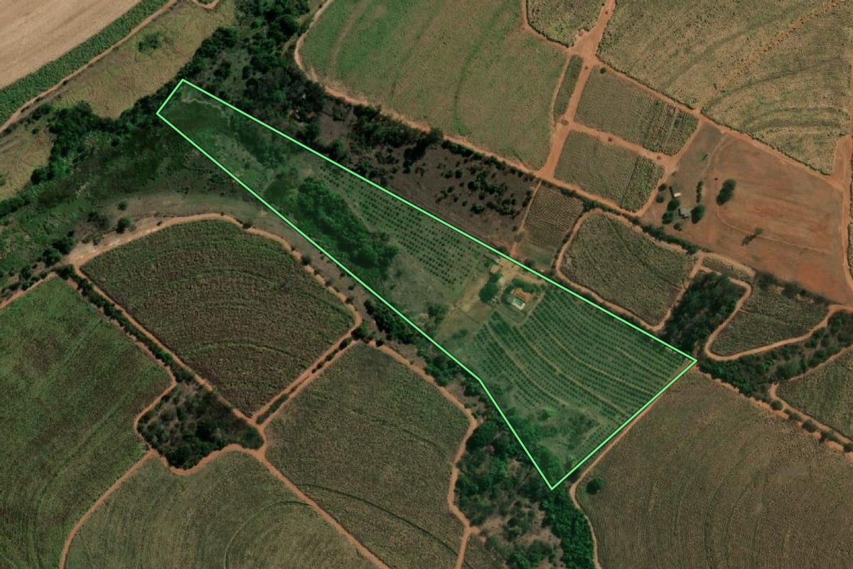 Imagem de satélite do imóvel rural em Catiguá (SP), com o contorno declarado no CAR desenhado por cima.